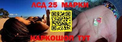 гашик Кандалакша