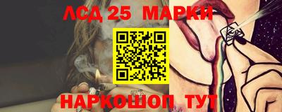 гашик Кандалакша