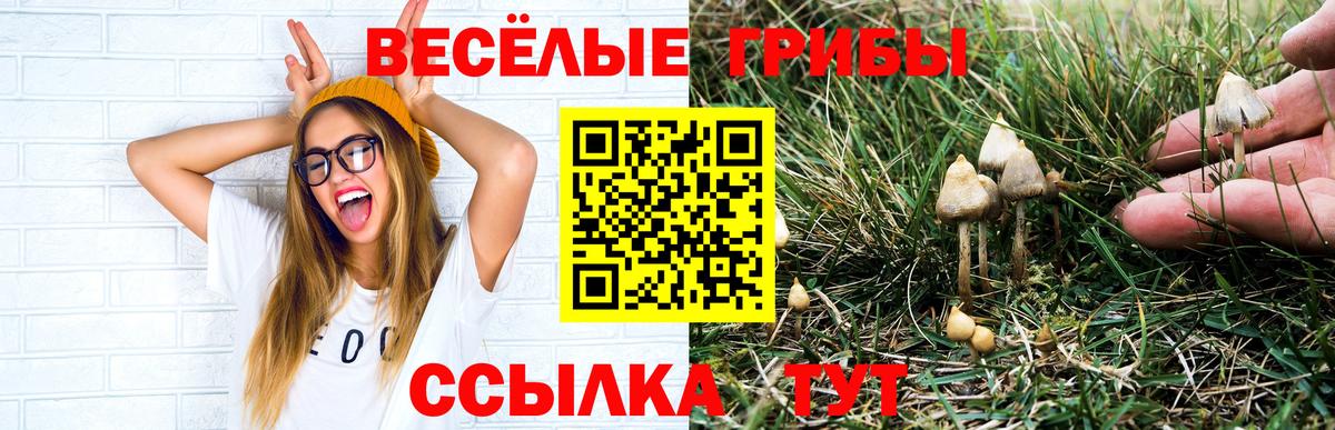 Галлюциногенные грибы мицелий  Псилоцибиновые грибы ЛСД  Вход с VPN  Ливны 
